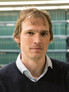 Prof. Dr. Martin Eckstein