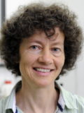 Prof. Dr. Carola Kryschi
