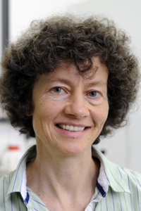 Prof. Dr. Carola Kryschi