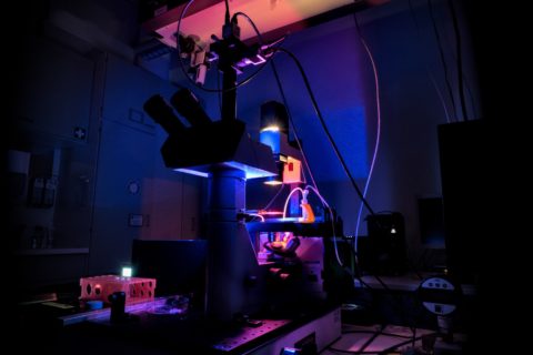 Full image of the bright-field and fluorescence microscope